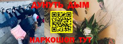 стаф Славгород