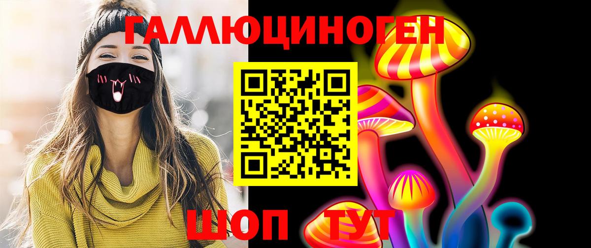 Псилоцибиновые грибы Psilocybine cubensis  Вход с VPN  Обь 